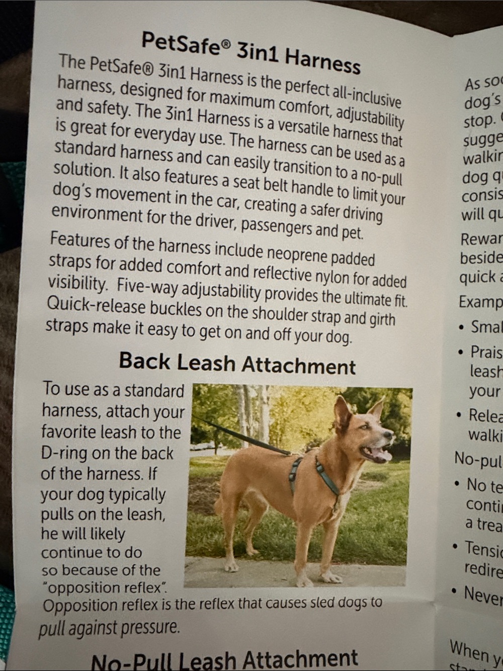 PetSafe Teal 3-in-1 Dog Harness - Medium - Picture 5 of 8